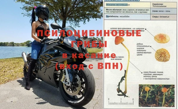ALPHA PVP Белоозёрский
