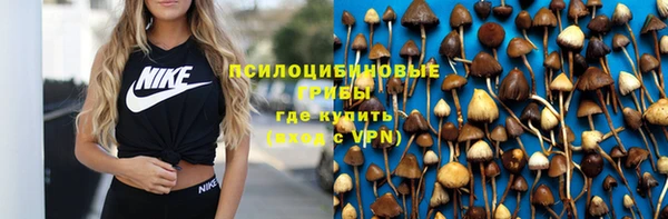 метамфетамин Белокуриха