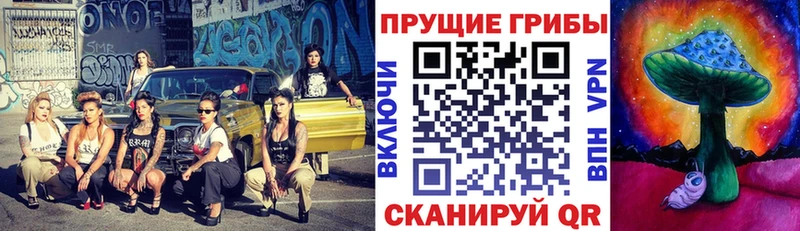ОМГ ОМГ tor Закаменск Псилоцибиновые грибы мухоморы